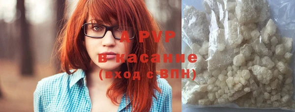 дживик Тайга