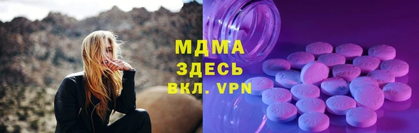 дживик Тайга