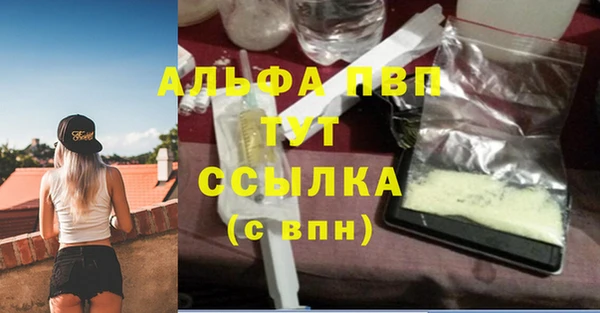 дживик Тайга