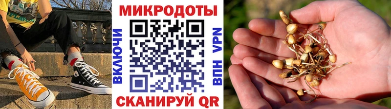 магазин продажи   Армянск  Псилоцибиновые грибы мухоморы 
