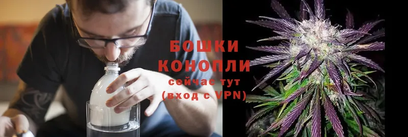 МАРИХУАНА White Widow  Армянск 